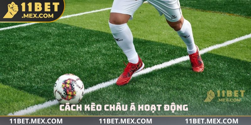 Cách kèo Châu Á hoạt động