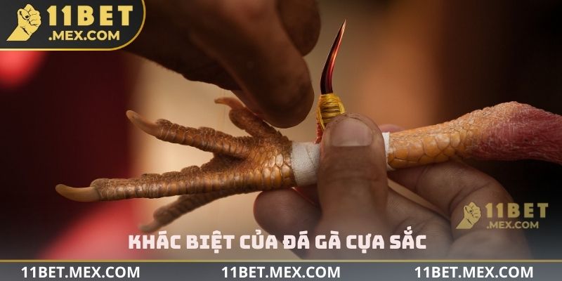 Khác biệt của đá gà cựa sắc