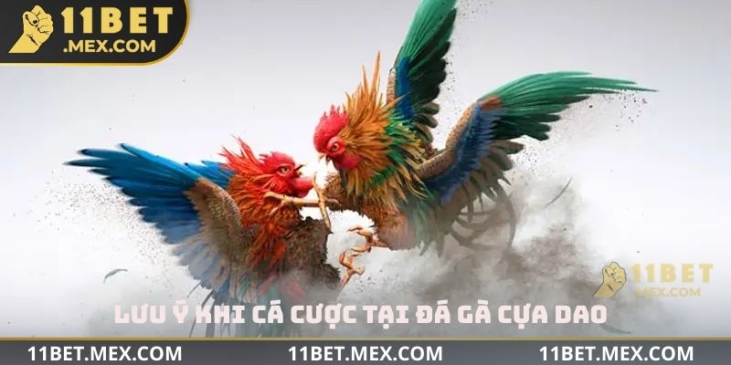 Lưu ý khi cá cược tại đá gà cựa dao