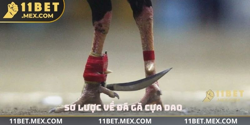 Sơ lược về đá gà cựa dao