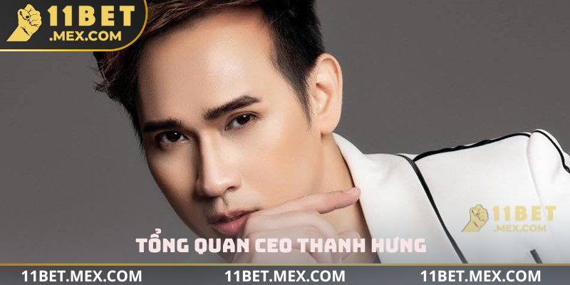 Tổng quan CEO Thanh Hưng
